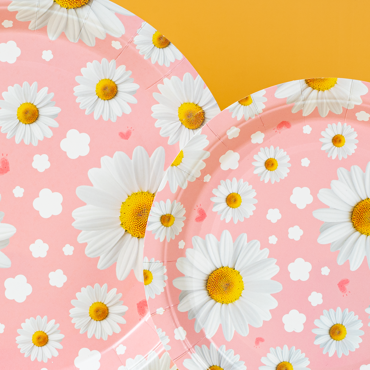 Pink Daisy Print Disposable Pa - مراجعة Event & Party Supply وسعره